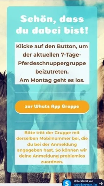 Dankeseite mit Button zur WhatsApp-Gruppe