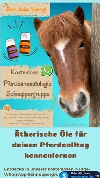 Landingpage mit Angebotsgrafik zur Schnuppergruppe