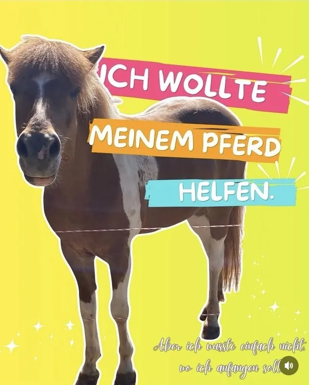 Karussell-Folie 1: Ich wollte meinem Pferd helfen