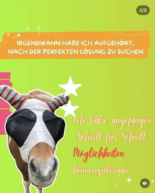 Karussell-Folie 4: Irgendwann habe ich aufgehört, nach der perfekten Lösung zu suchen