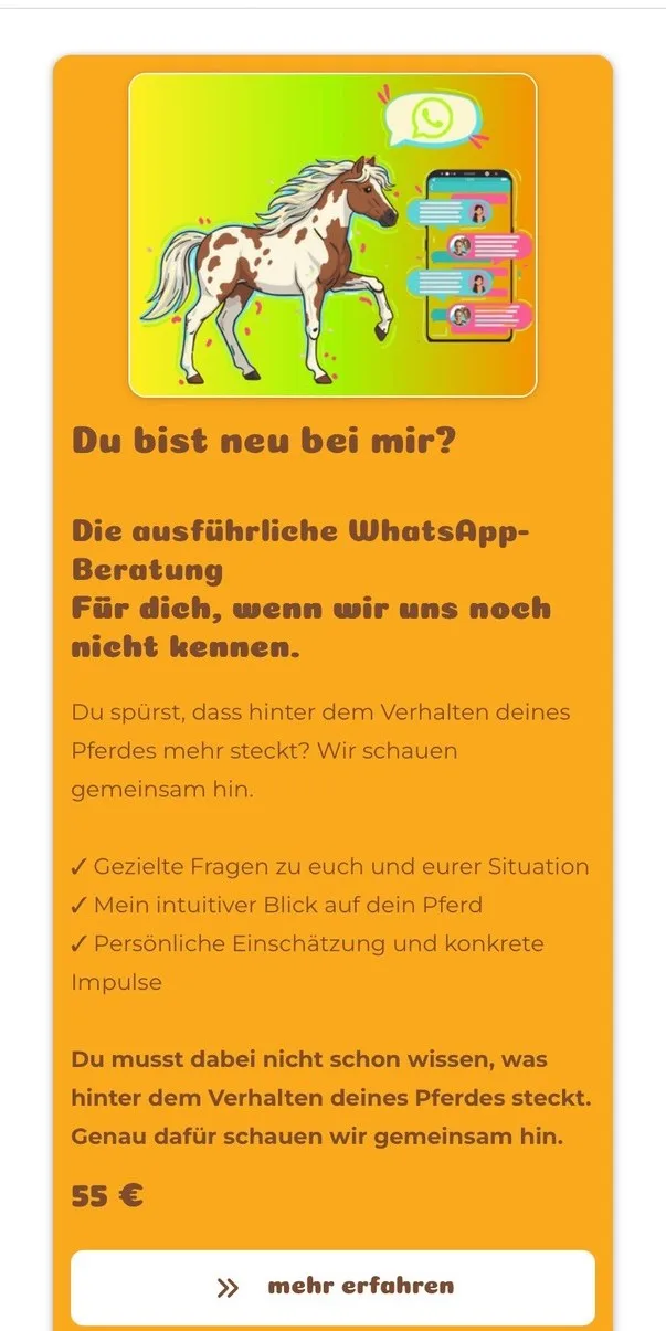 Angebotskarte für die WhatsApp-Beratung mit Illustration, Leistungen und Preis