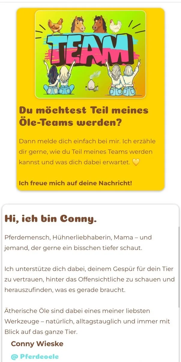 Team-Bereich mit Illustration und persönlicher Vorstellung